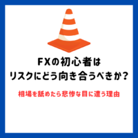 FXの初心者はリスクにどう向き合うべきか？